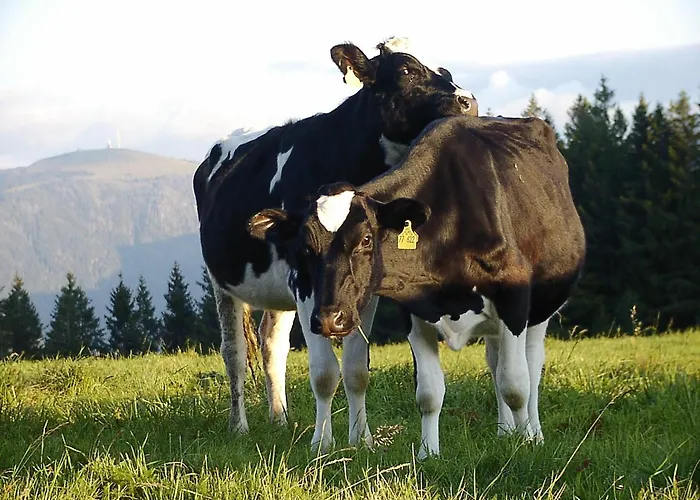 Kirchlehof * Oberried (Breisgau)