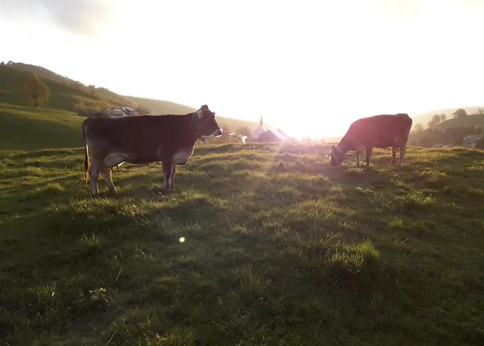 Kirchlehof Apartment